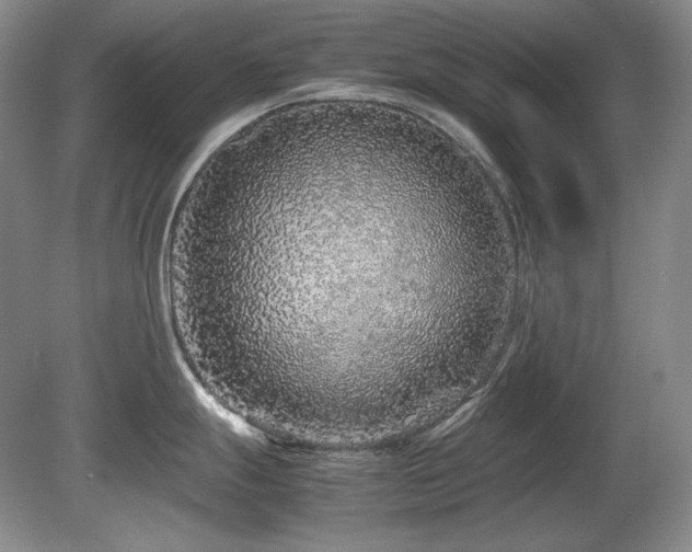 X0000081611247200701151357