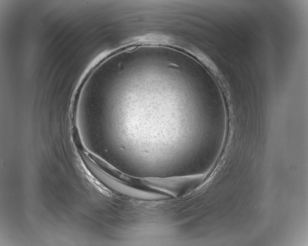 X0000081611248200701151357