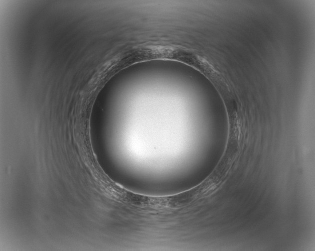 X0000081611249200701151356