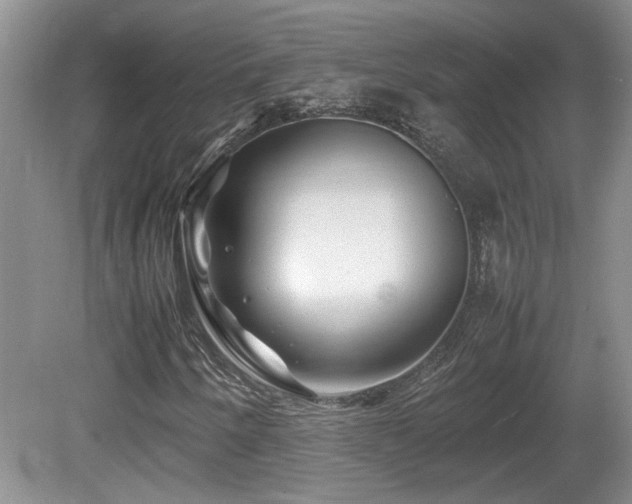 X0000081611250200701151356