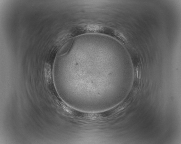 X0000081611251200701151356