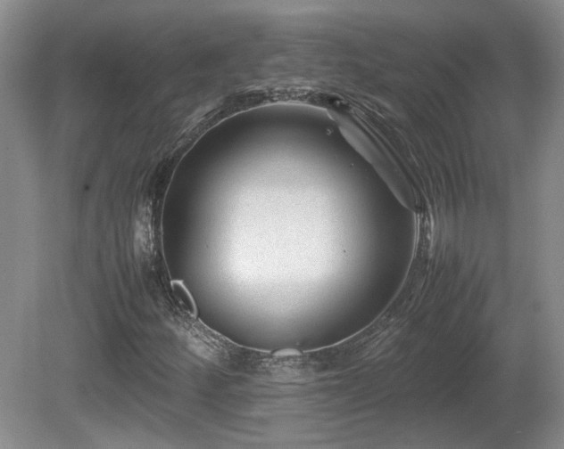 X0000081611252200701151356