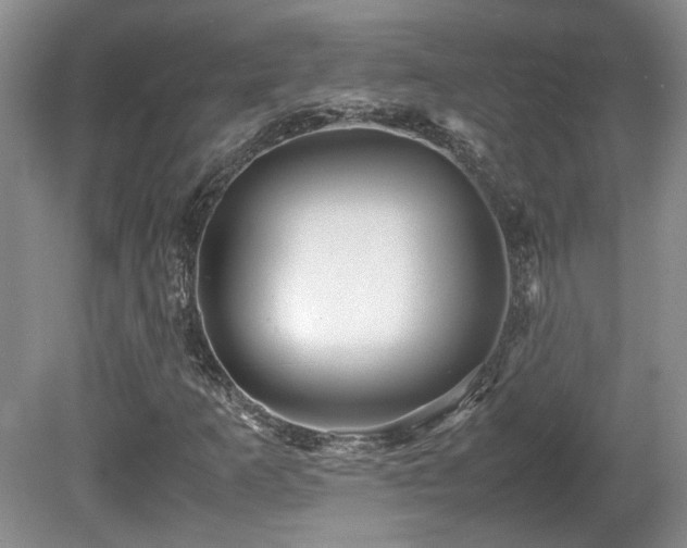 X0000081611253200701151356