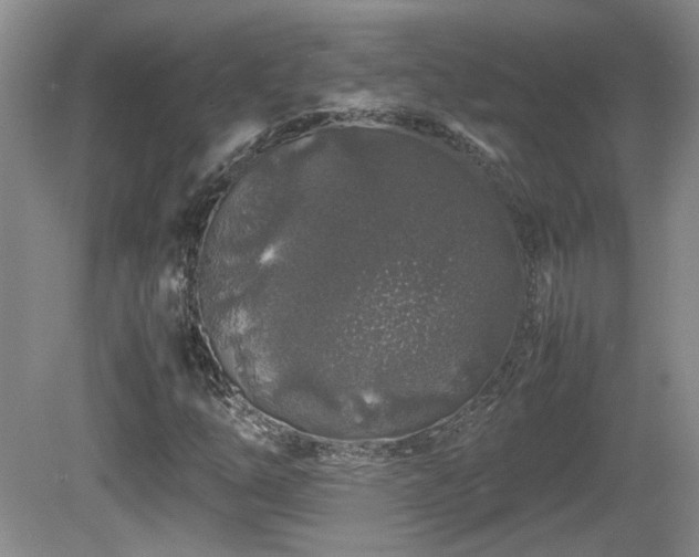 X0000081611254200701151356