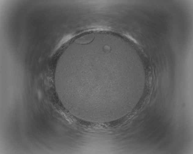 X0000081611255200701151356