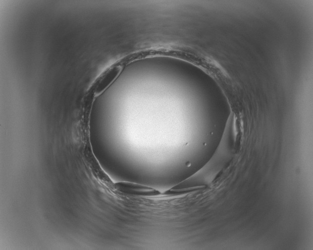 X0000081611256200701151356