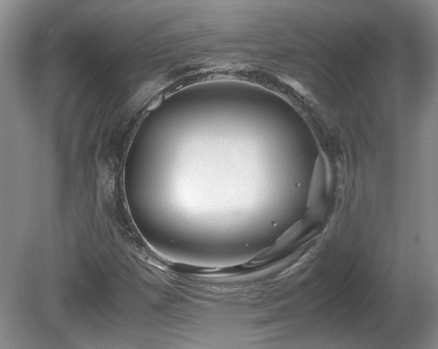 X0000081611257200701151356