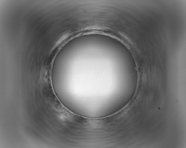 X0000081611258200701151356