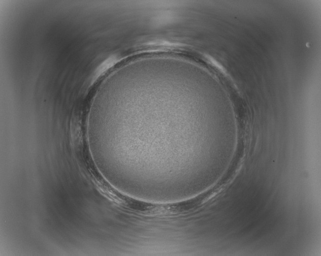 X0000081611259200701151356