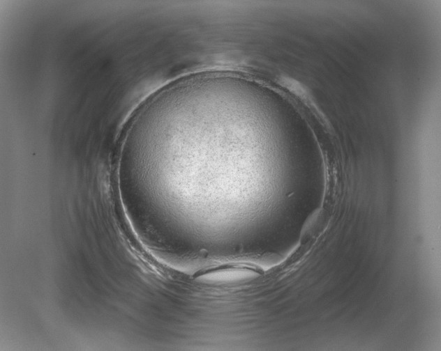 X0000081611260200701151356