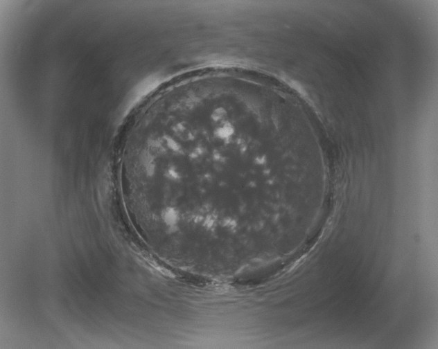 X0000081611263200701151356