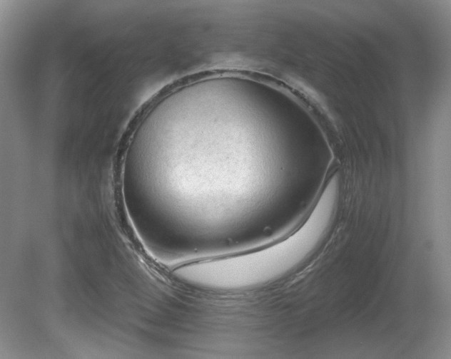 X0000081611264200701151356