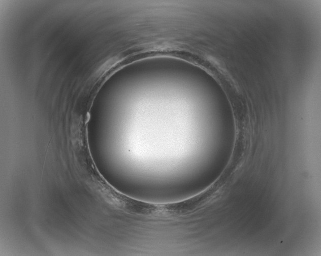 X0000081611265200701151356