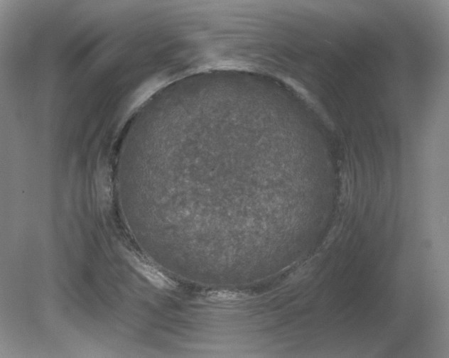 X0000081611266200701151356