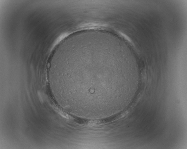 X0000081611267200701151356