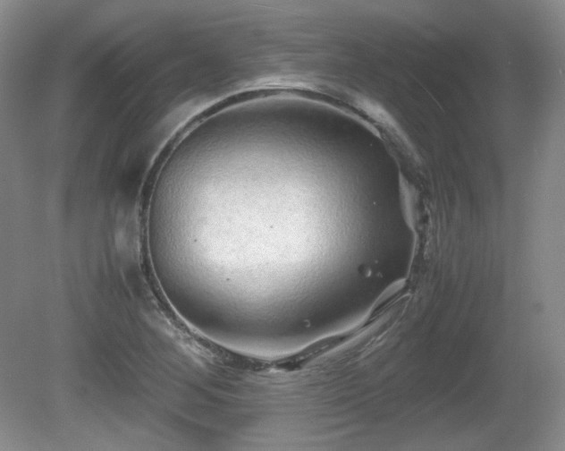 X0000081611268200701151356