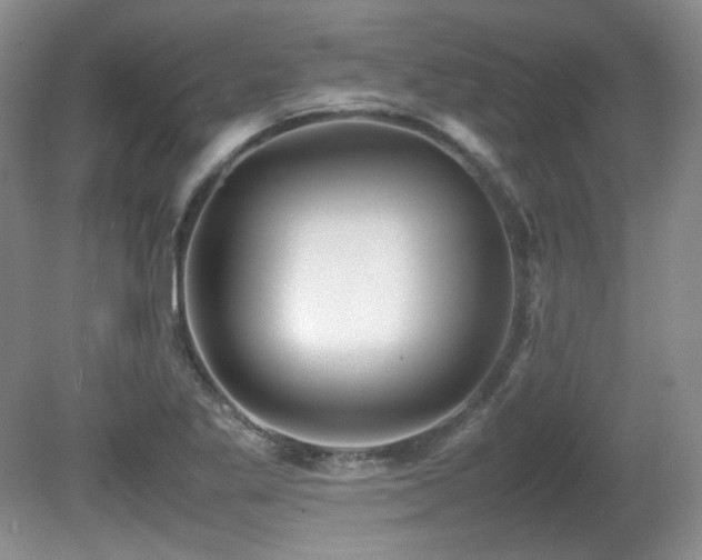 X0000081611269200701151356