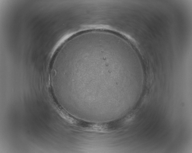 X0000081611271200701151356