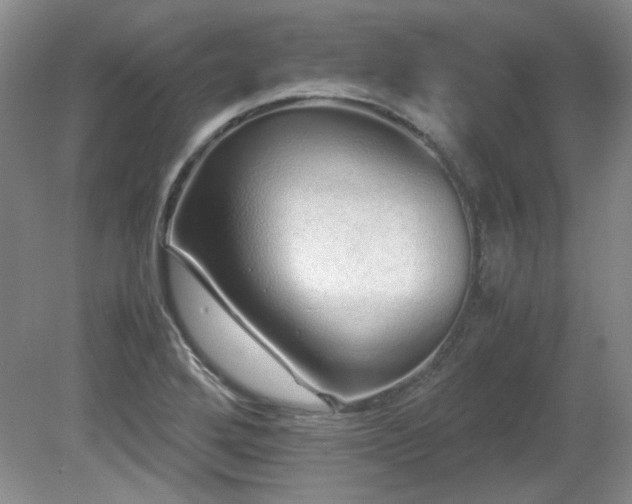 X0000081611272200701151356