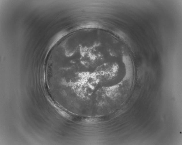 X0000081611274200701151356