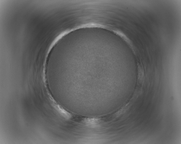 X0000081611278200701151356