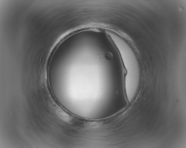 X0000081611280200701151356