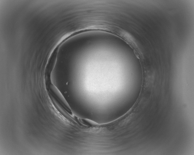 X0000081611284200701151355