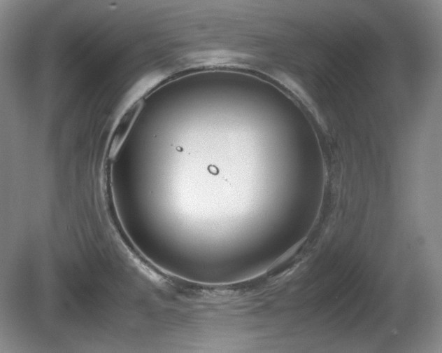 X0000081611285200701151355