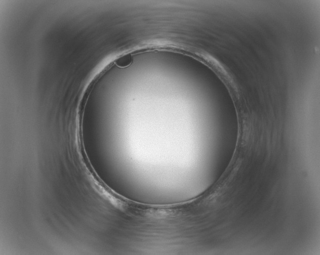 X0000081611286200701151355