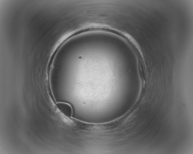 X0000081611287200701151355