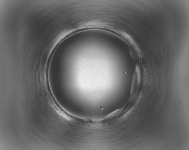 X0000081611288200701151355