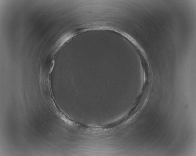 X0000081611289200701151355