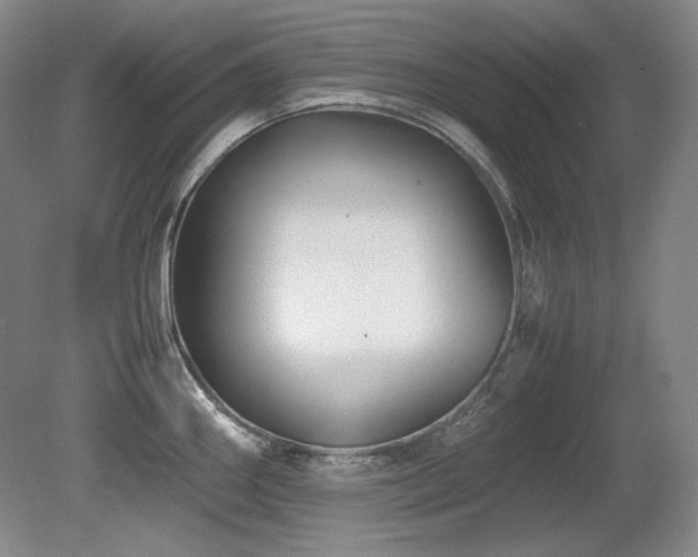 X0000081611290200701151355