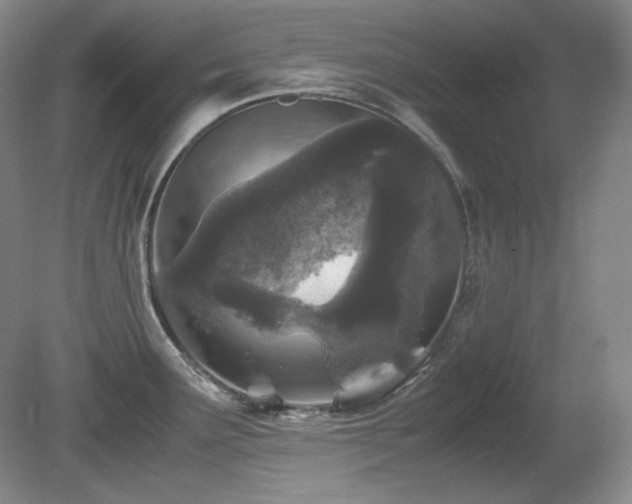 X0000081611291200701151355