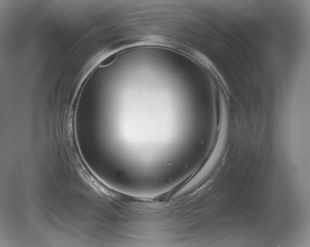 X0000081611292200701151355