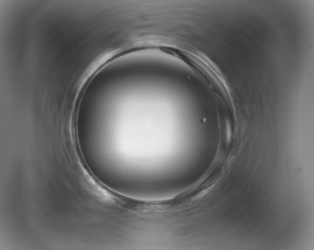 X0000081611293200701151355