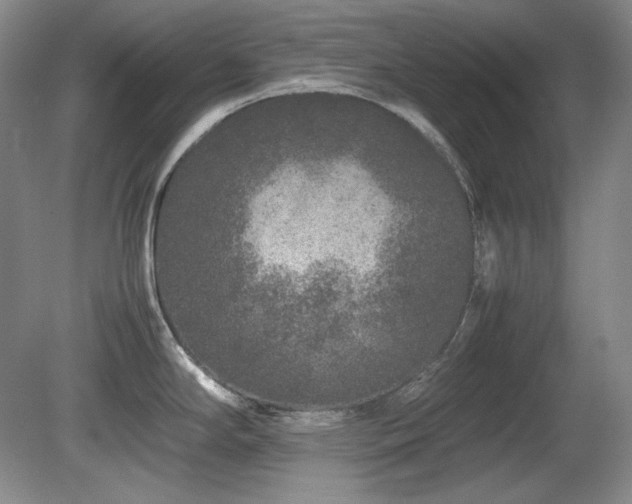 X0000081611294200701151355