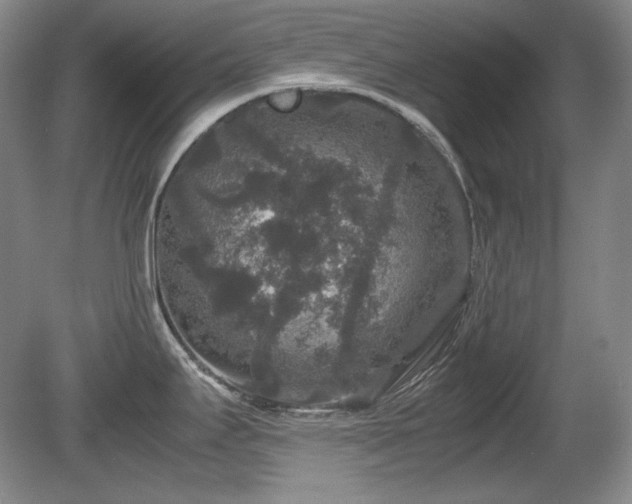 X0000081611295200701151355