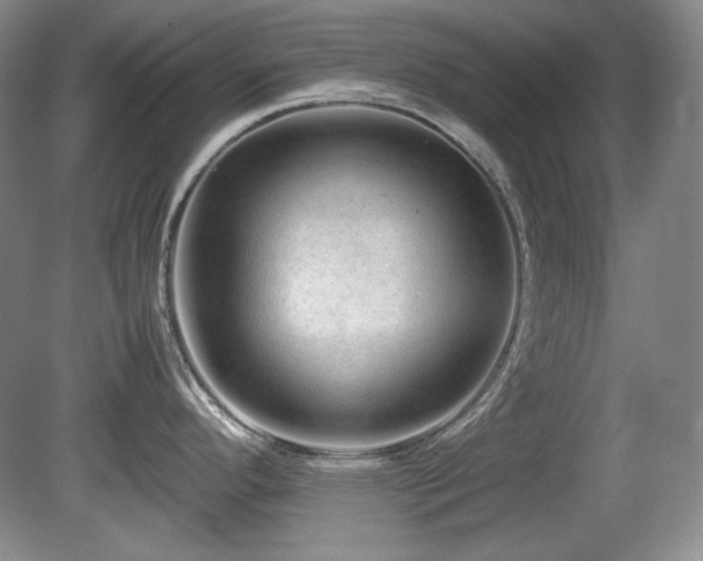 X0000081611296200701151355