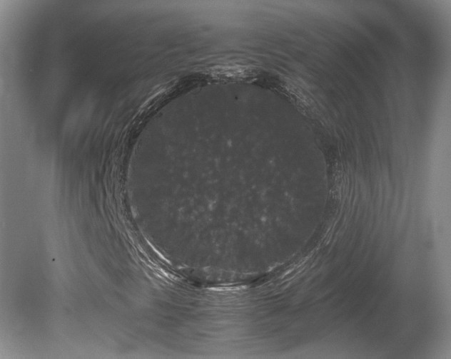 X0000081611297200701151354