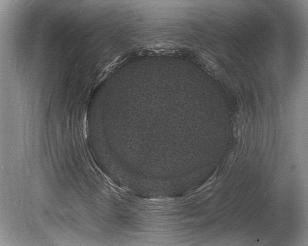 X0000081611298200701151354