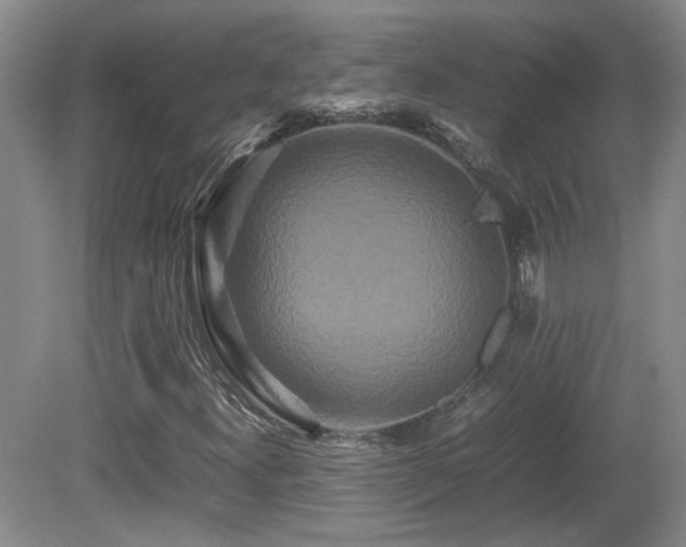 X0000081611300200701151354