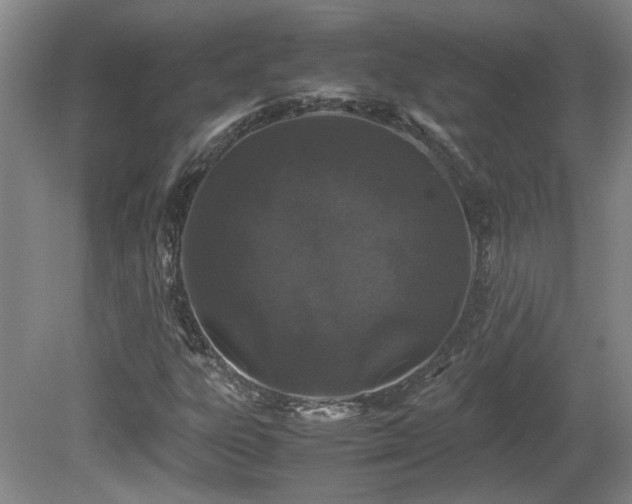 X0000081611303200701151355