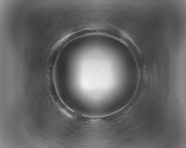 X0000081611304200701151355