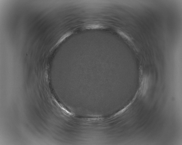 X0000081611305200701151355