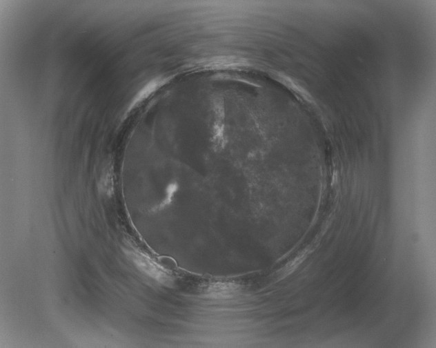 X0000081611306200701151355