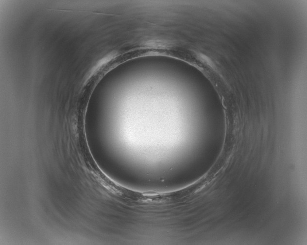 X0000081611307200701151355