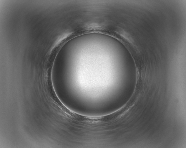 X0000081611309200701151355