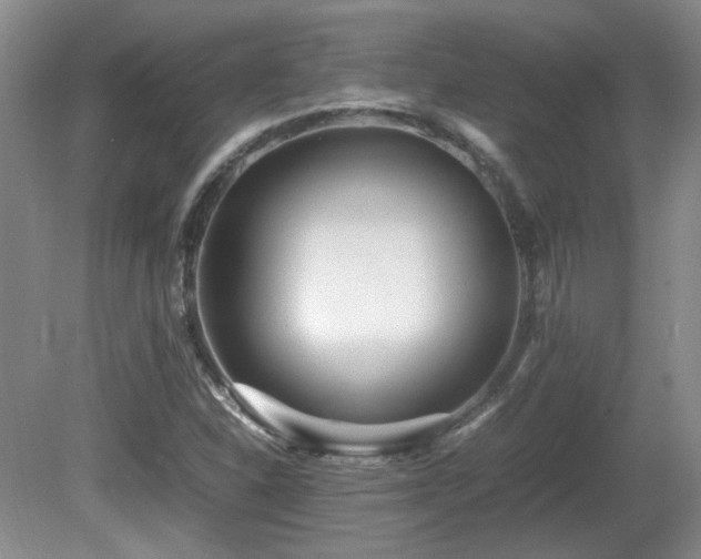 X0000081611310200701151355