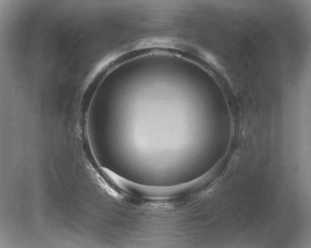 X0000081611312200701151355